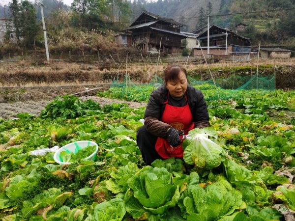 金斧子配资 对话《阿包》作者：我一辈子没读到书，否则也会有好工作