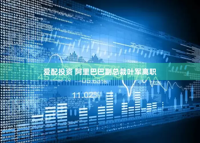 爱配投资 阿里巴巴副总裁叶军离职