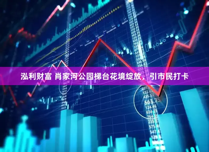 泓利财富 肖家河公园梯台花境绽放，引市民打卡